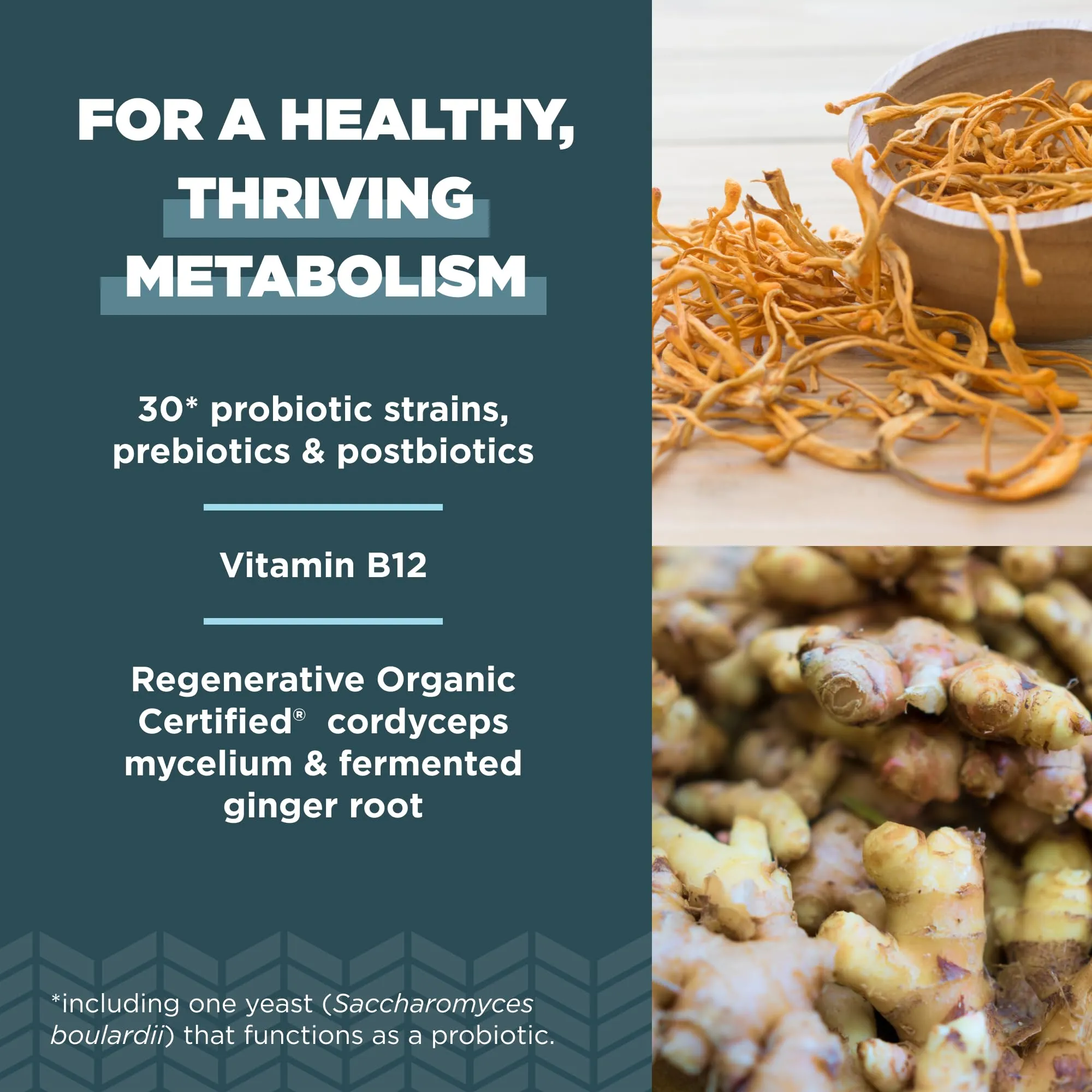 Ancient Nutrition Organic Probiotics Metabolism Support 60 Ct 50B CFU