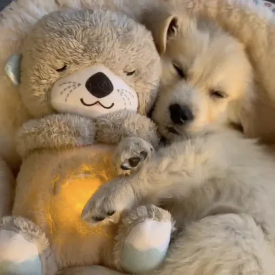 BreathBuddy - Calming Buddy