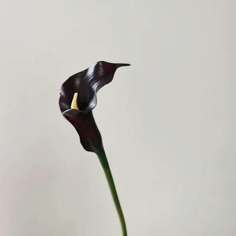 Bulk Exclusive 25.5" Calla Lilies Long Stems Real Touch Floral Artificial Wholesale