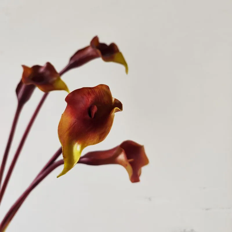 Bulk Exclusive 25.5" Calla Lilies Long Stems Real Touch Floral Artificial Wholesale