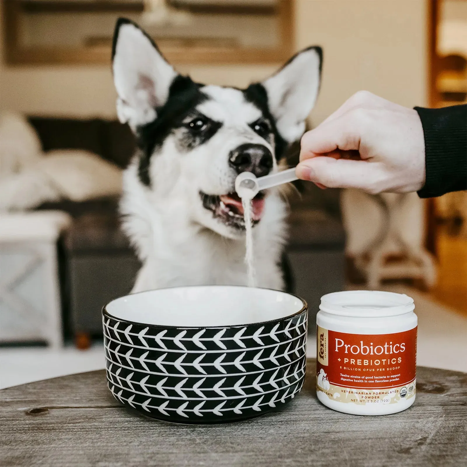 Fera Pet Organics Puppy Starter Kit