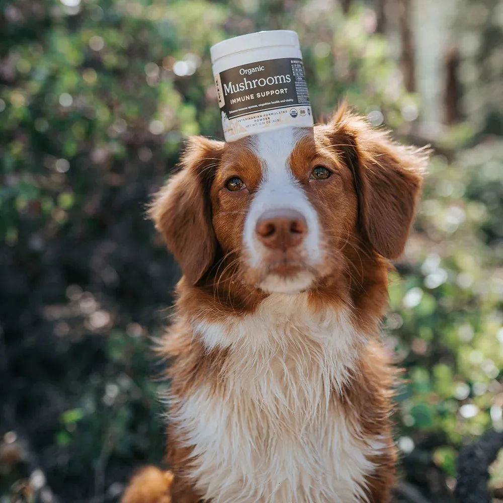 Fera Pet Organics Puppy Starter Kit