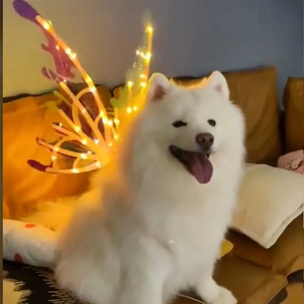 Light Up Fairy Wings for Dogs Electric Glowing Fairy Wings Musical Butterfly with Led String Lights for Pet Party Favor Dress Up