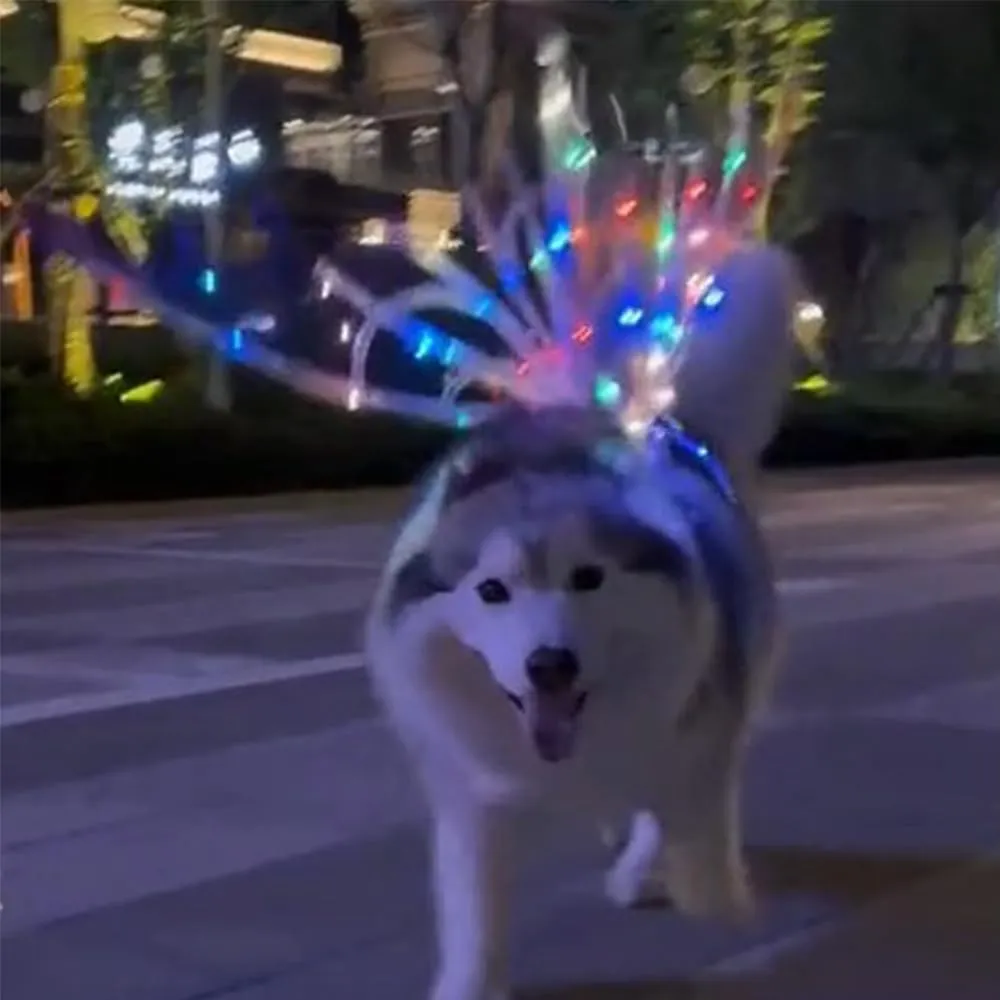 Light Up Fairy Wings for Dogs Electric Glowing Fairy Wings Musical Butterfly with Led String Lights for Pet Party Favor Dress Up