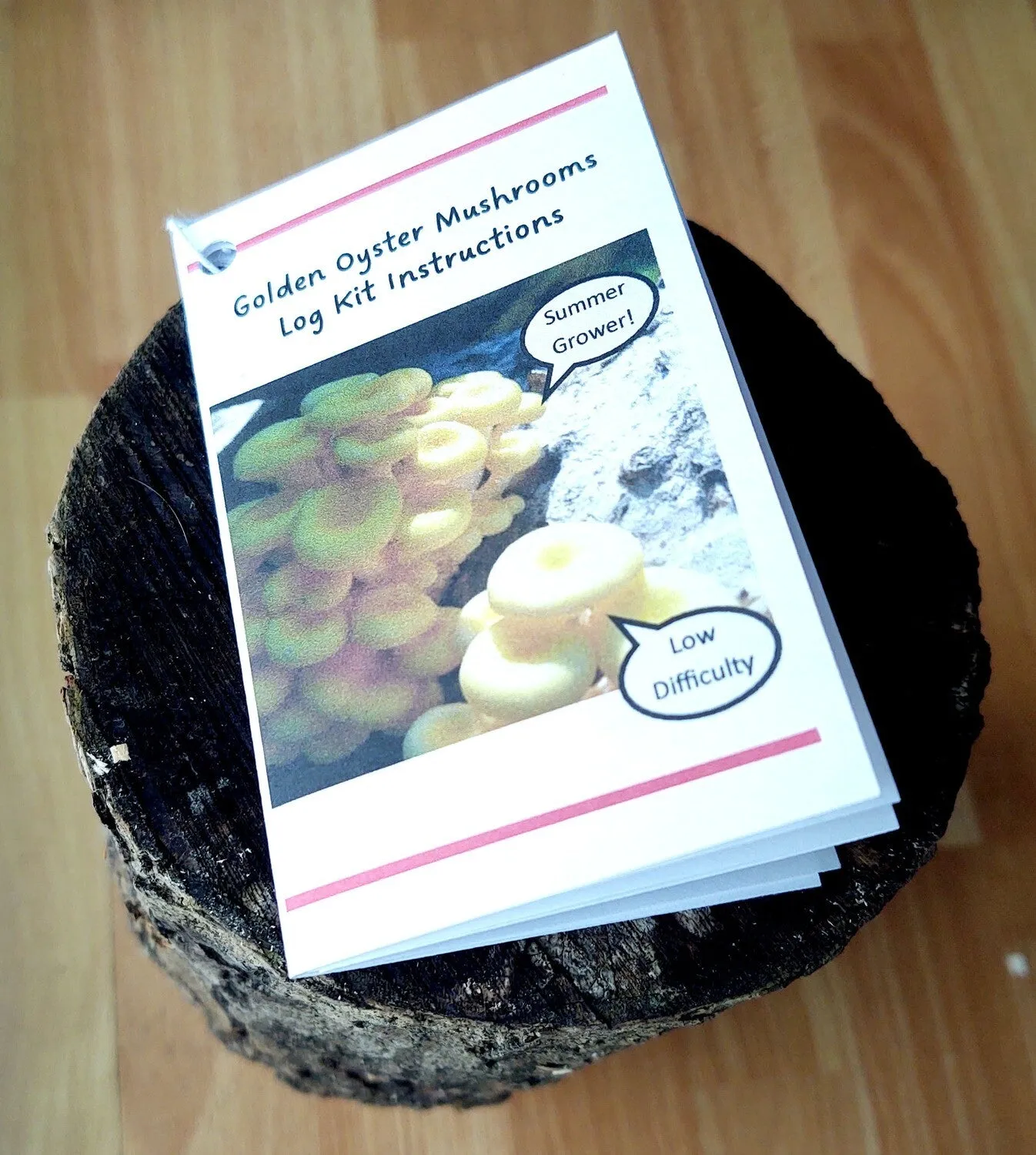 Mushroom Log Kit - Summer Golden Oyster