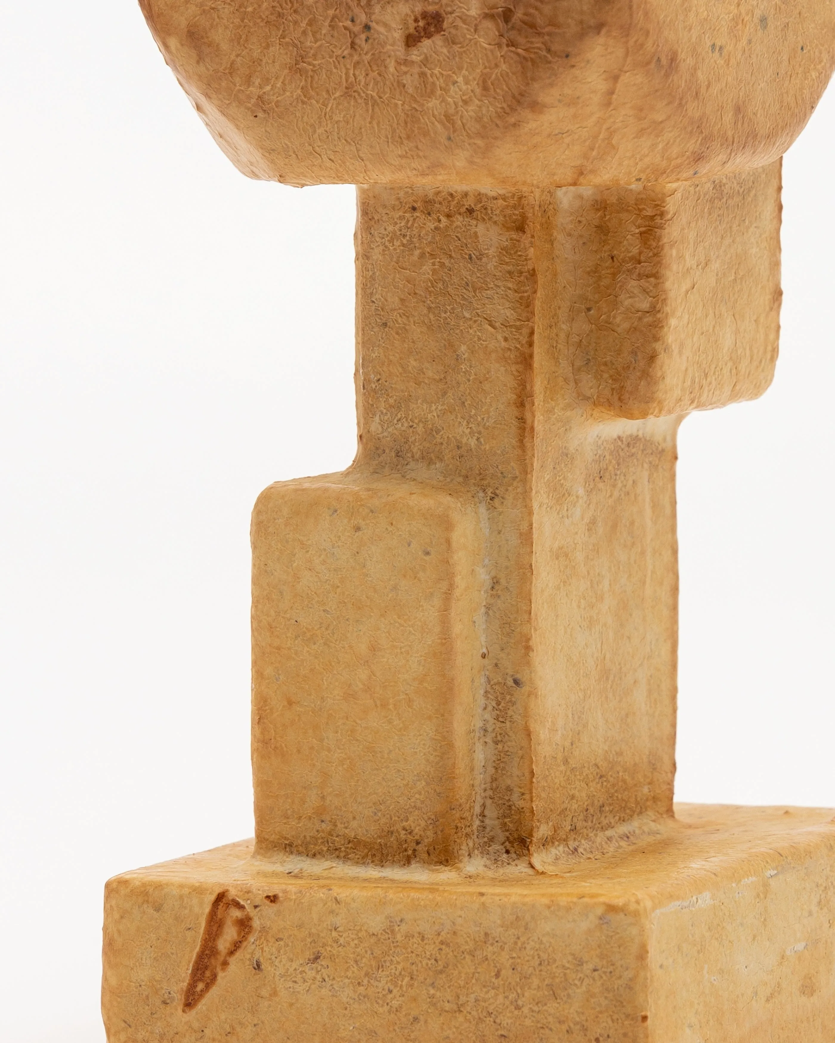Mycelium Totem in Natural