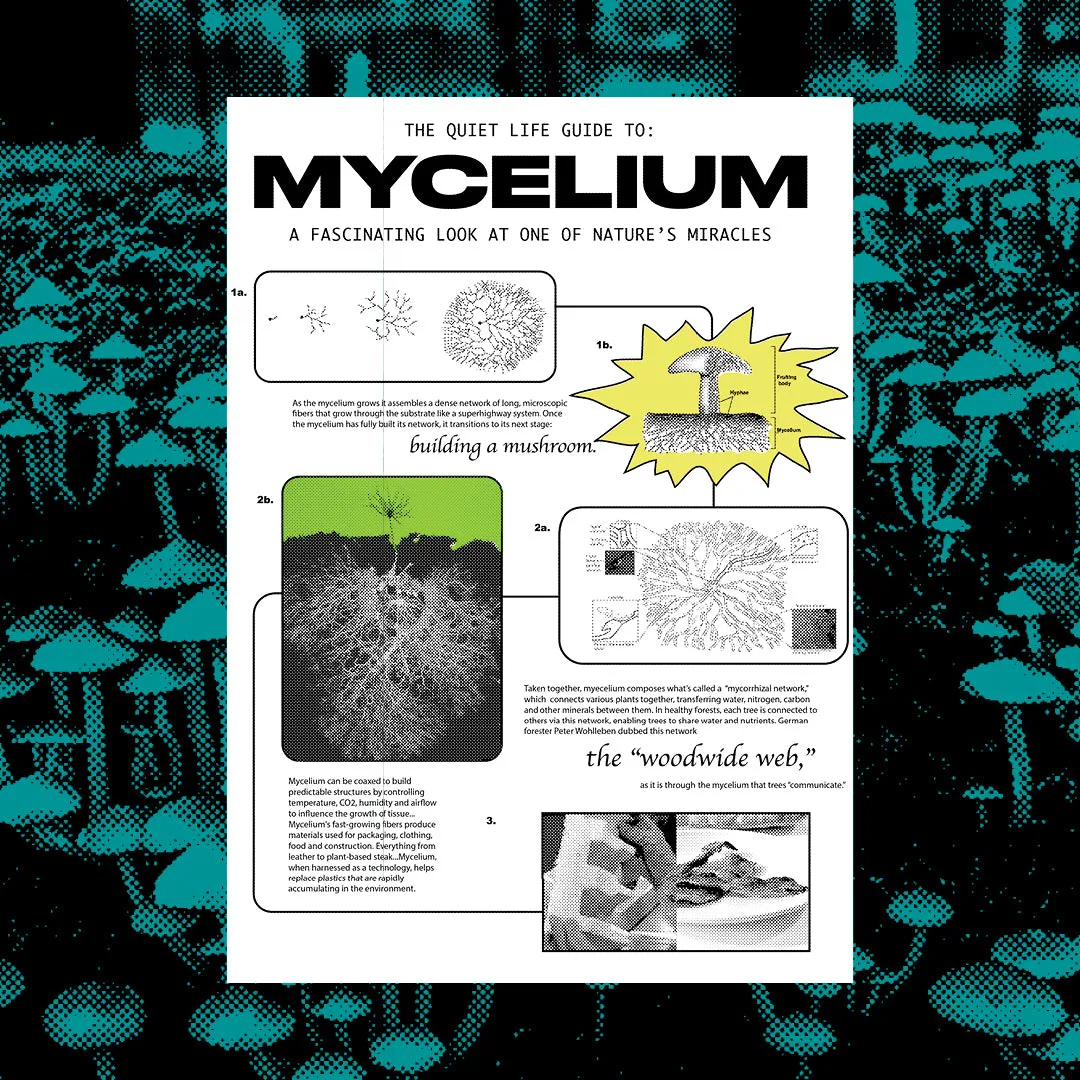 SAMPLE SALE 24 - MYCELIUM T - B5