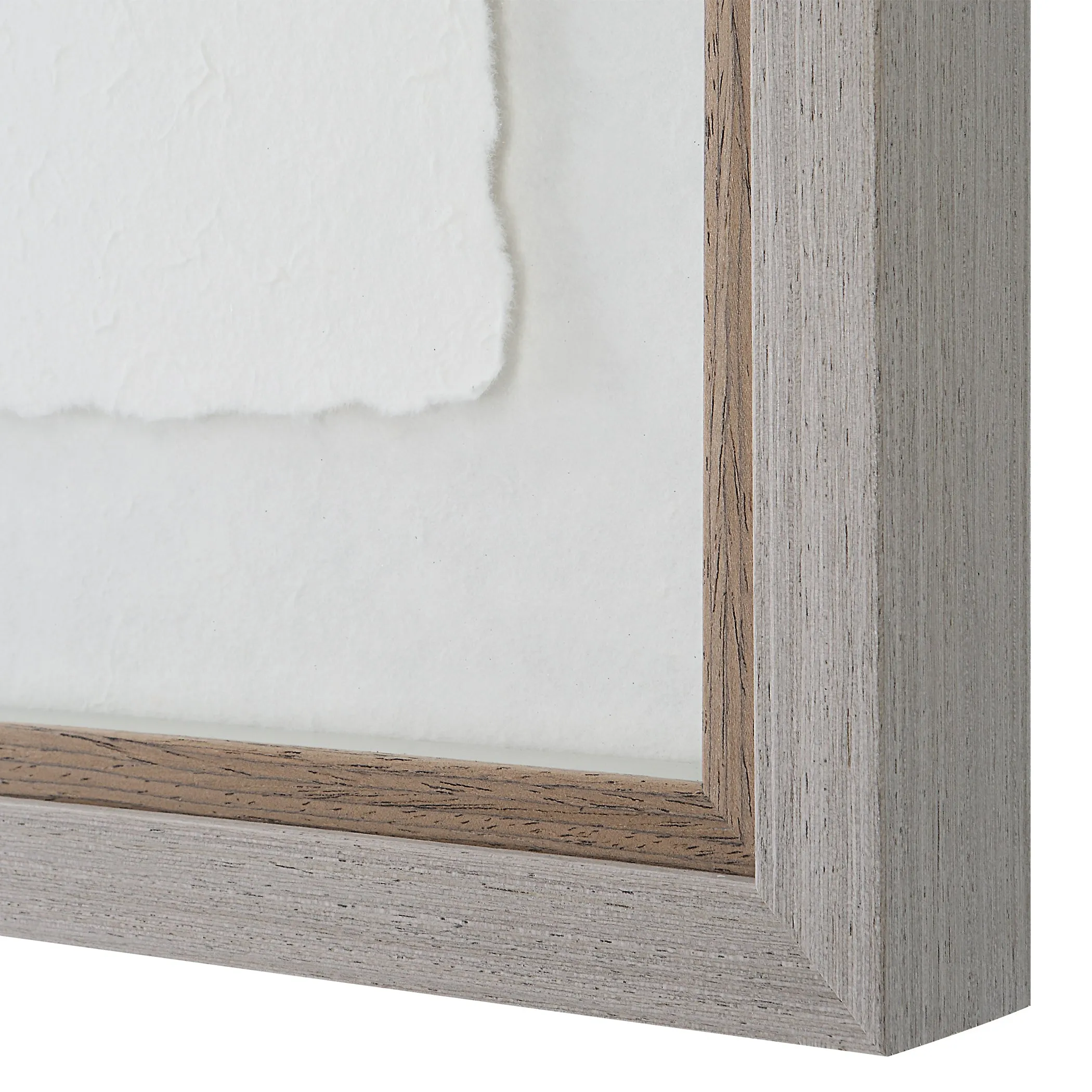 Uttermost Wildflower Study Framed Prints, S/4